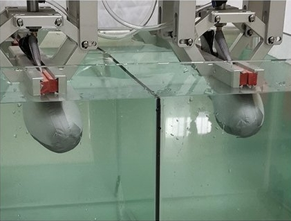 襪套防水試驗(yàn)機(jī)（低透）